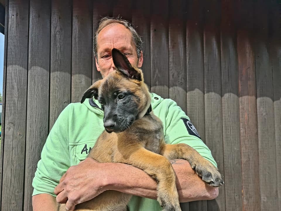 Berti & Game Over