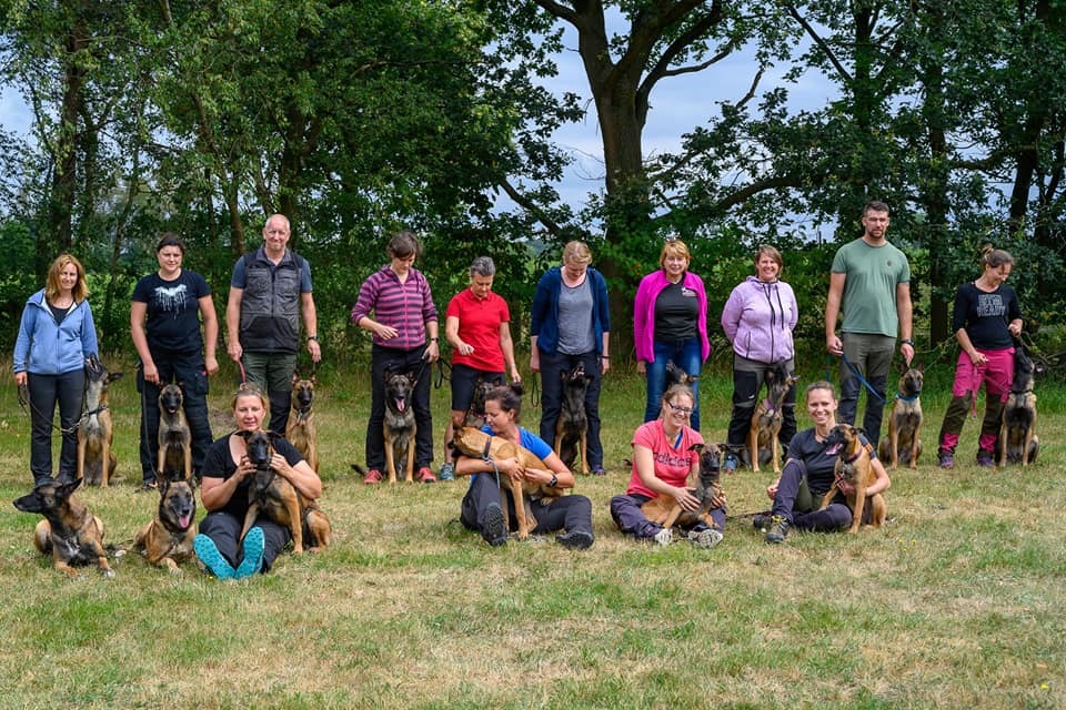 Bullentreffe 2019