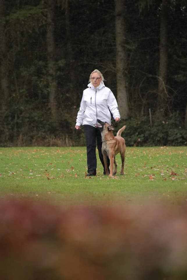 Bakari vom Buxtehuder Bullen