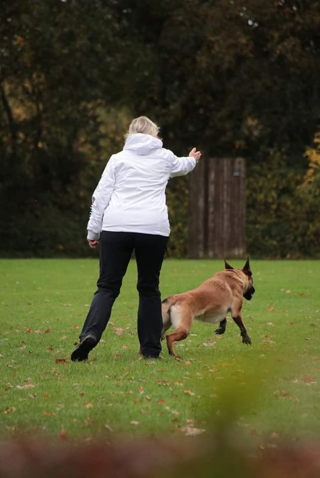Bakari vom Buxtehuder Bullen